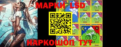 СК Донецк