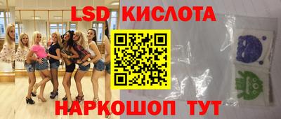 стаф Донской