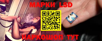 стаф Донской
