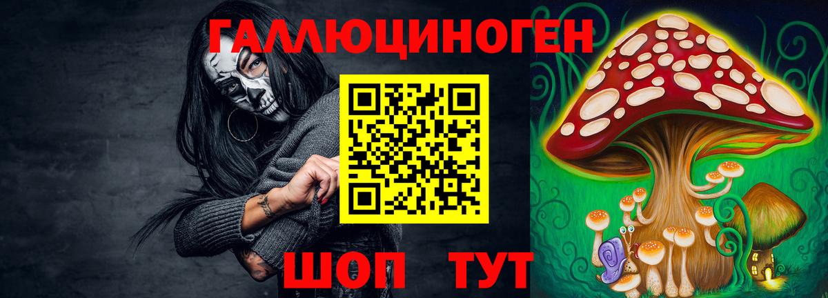 Псилоцибиновые грибы Psilocybe Великие Луки